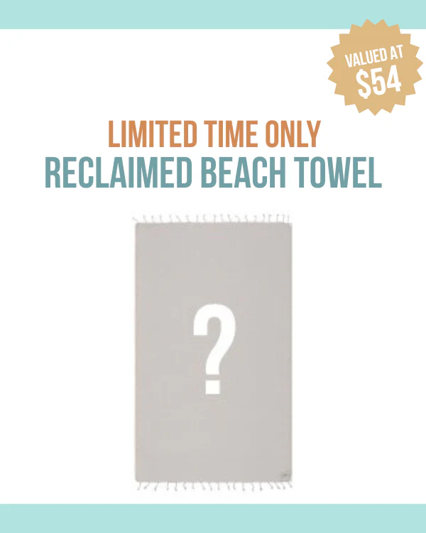 Beach Towel Reclaimed Regular
