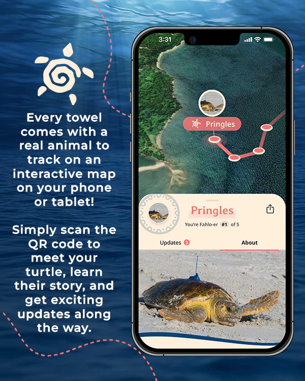 Journey Turtle - Fahlo - Image 2