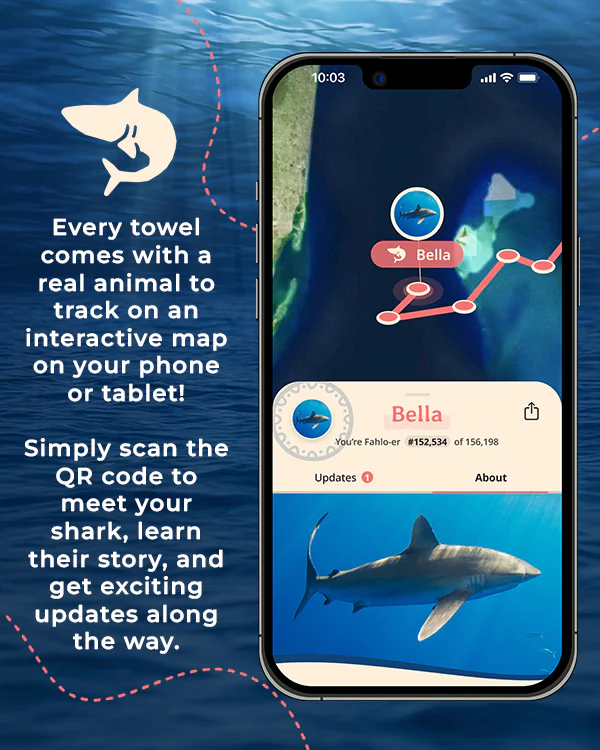 Voyage Shark - Large - Fahlo - Image 2